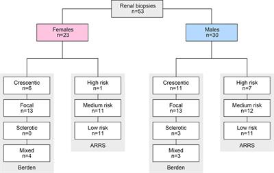 Comprehensive Analysis of Sex Differences at Disease Manifestation in ANCA-Associated Glomerulonephritis